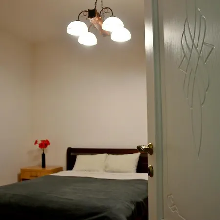 Apartment Brand New In Center *