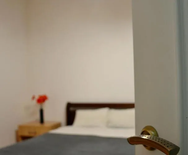 Brand New In Center Leópolis