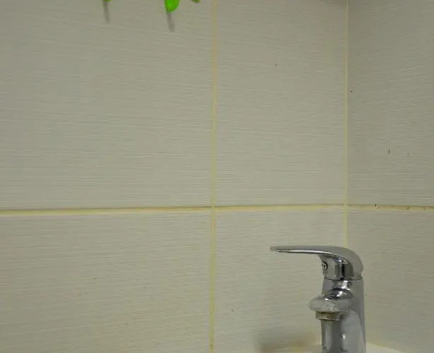 Brand New In Center Apartamento Leópolis